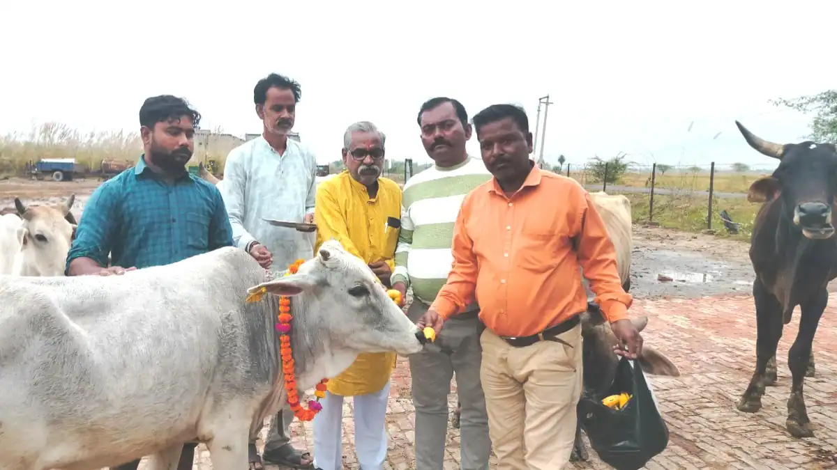 Achalda News: गोपाष्टमी पर गौशाला में गौ माता की पूजा 1 1003917019