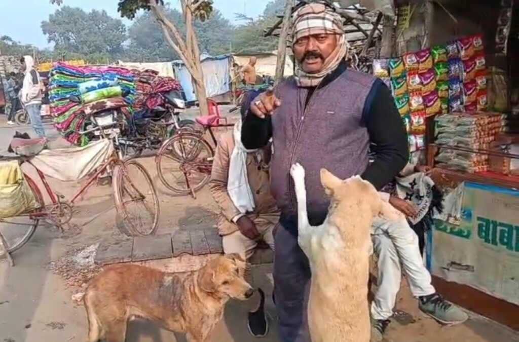 अछल्दा में आवारा कुत्तों की खुजली ने मचाई हलचल, गौरक्षा दल के जिला अध्यक्ष जितेंद्र सिंह सेंगर ने दिया एक्शन का भरोसा 3 1004311623