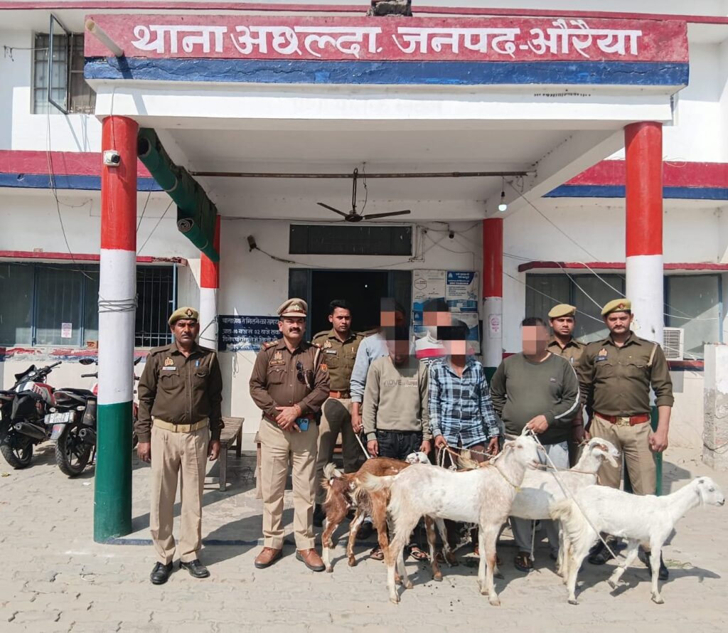अछल्दा पुलिस की बड़ी कार्रवाई, कमारा नहर पुल के पास पांच बकरी चोर गिरफ्तार 3 39138